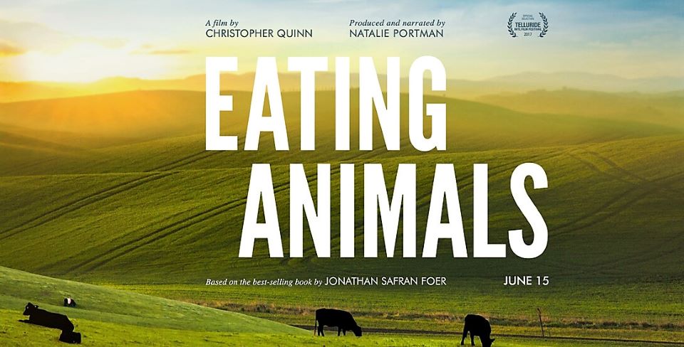 Eating Animals: The Dangers of Modern Farming Practices