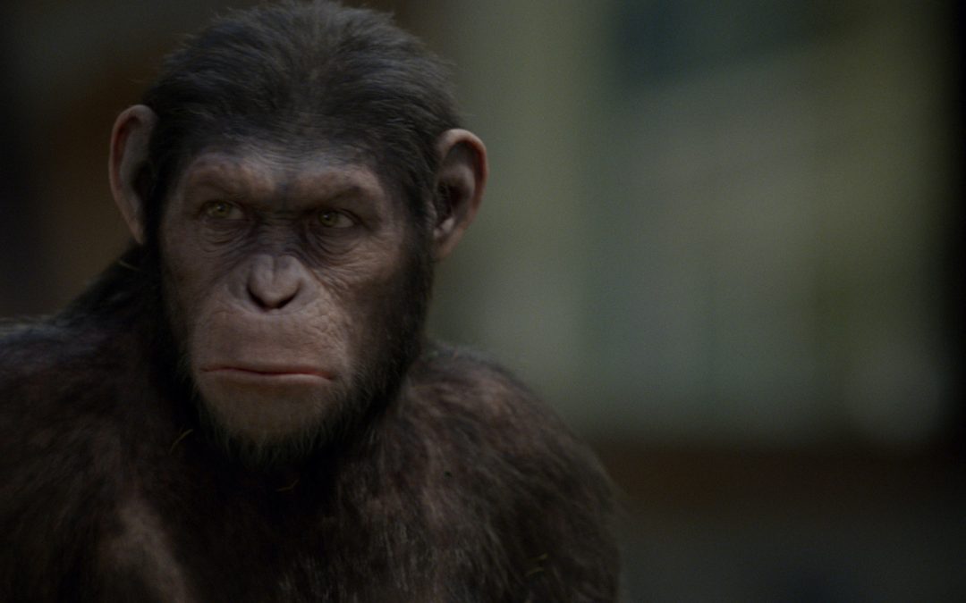 Unrightful Rulers: Power and Personhood in “Rise of the Planet of the Apes”