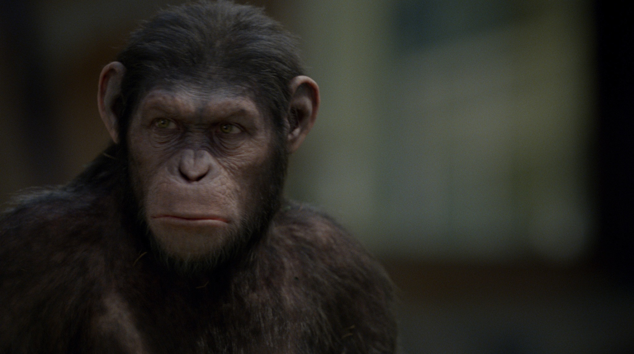 young caesar rise of the planet of the apes